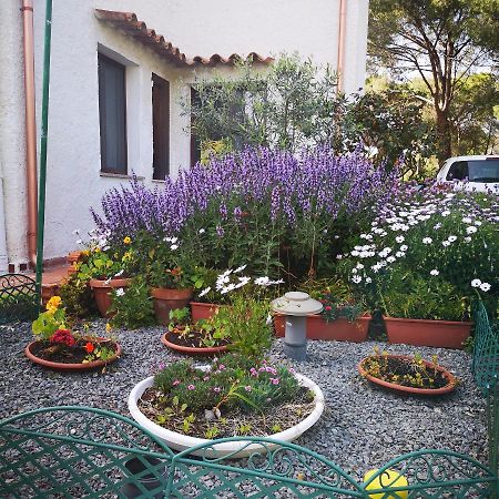 Villa Manuela Пула Экстерьер фото